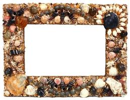 frame for photo from marine cockleshells