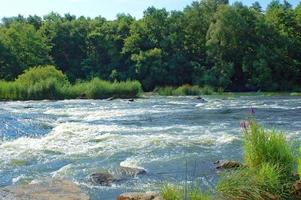 pequeño río en los árboles de los alrededores foto