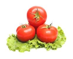 red tomatoes and green lettuce photo