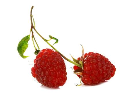 ripe red raspberry photo