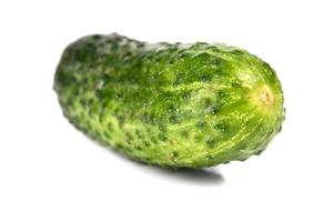 cucumber fresh vegetable photo