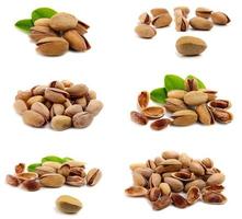 peanut nut organic food photo