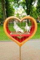 pigeons in heart photo