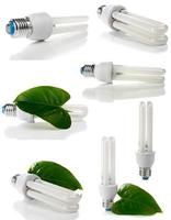 lightbulb and green leaf photo