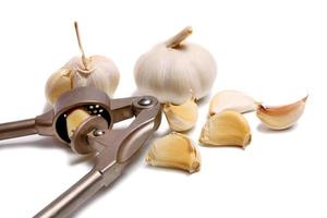garlic on white background photo