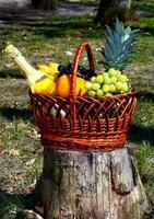 cesta con fruta en la naturaleza foto