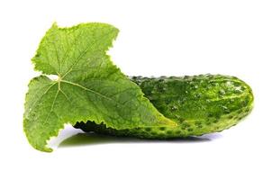 cucumber and leaf photo