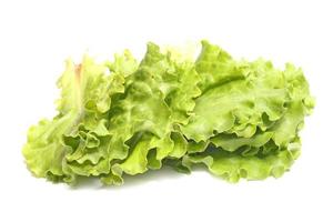 lettuce food ingredient photo