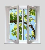 open plastic window with a kind on grape-vine photo