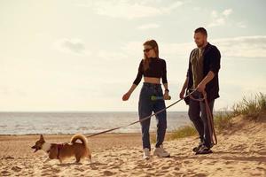 Young happy couple and dog walking along beach. Man with woman looking away photo