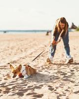 hermosa joven sosteniendo un cachorro de corgi tirando de la correa. mujer paseando con perro foto