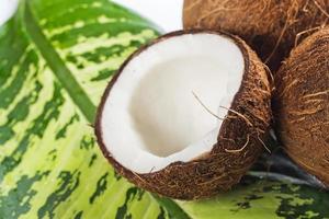 Coconuts on green leaf photo