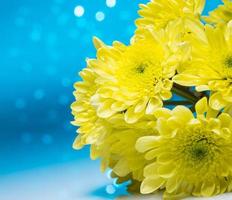 Flowers over blue bokeh background photo