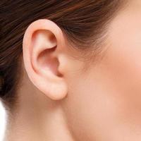 Closeup of female ear photo