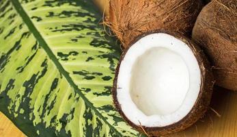 Closeup of fresh coconuts photo