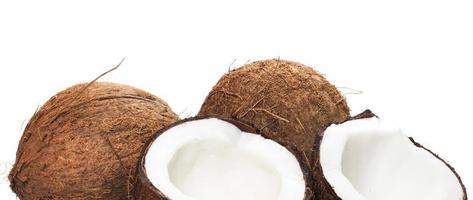 cocos sobre fondo blanco foto