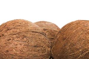 Coconuts on white background photo