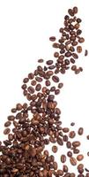 Coffe beans over white background photo
