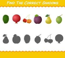 Find the correct shadows of cartoon fruits. Searching and Matching game. Educational game for pre shool years kids and toddlers vector