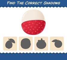 Find the correct shadows of cartoon lychees. Searching and Matching game. Educational game for pre shool years kids and toddlers vector