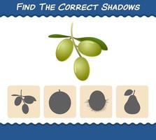 encuentra las sombras correctas de las aceitunas de dibujos animados. juego de búsqueda y emparejamiento. juego educativo para niños y niños pequeños en edad preescolar vector