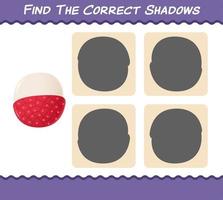 Find the correct shadows of cartoon lychees. Searching and Matching game. Educational game for pre shool years kids and toddlers vector