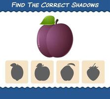 encuentra las sombras correctas de las ciruelas de dibujos animados. juego de búsqueda y combinación. juego educativo para niños y niños pequeños en edad preescolar vector