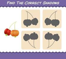Find the correct shadows of cartoon pitangas. Searching and Matching game. Educational game for pre shool years kids and toddlers vector