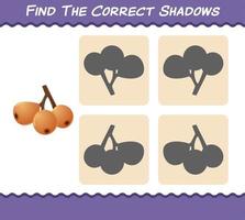 Find the correct shadows of cartoon loquats. Searching and Matching game. Educational game for pre shool years kids and toddlers vector