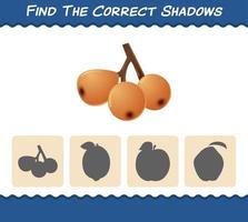 Find the correct shadows of cartoon loquats. Searching and Matching game. Educational game for pre shool years kids and toddlers vector