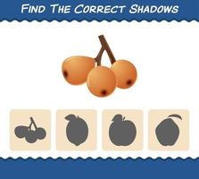 encuentra las sombras correctas de los nísperos de dibujos animados. juego de búsqueda y combinación. juego educativo para niños y niños pequeños en edad preescolar vector