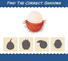 Find the correct shadows of cartoon rambutans. Searching and Matching game. Educational game for pre shool years kids and toddlers vector