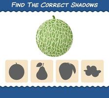 encuentra las sombras correctas de los melones de dibujos animados. juego de búsqueda y emparejamiento. juego educativo para niños y niños pequeños en edad preescolar vector