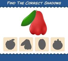 Find the correct shadows of cartoon rose apples. Searching and Matching game. Educational game for pre shool years kids and toddlers vector