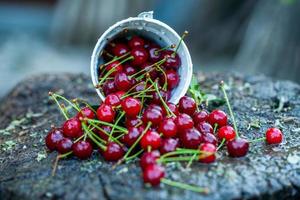 cerezas frescas en un tazón. vista de cerca del montón de cerezas rojas maduras. frutos rojos en el jardín. foto