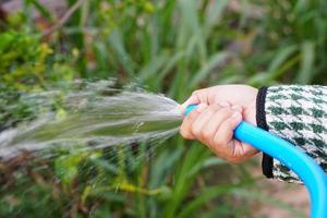 manos de granjero rociando agua en los árboles foto