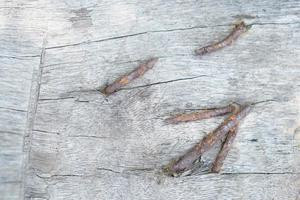 old wooden floor has a beautiful pattern. photo