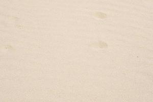 sand background blown by the wind photo