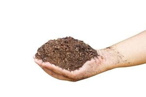 Soil for planting in human hands on white background. photo