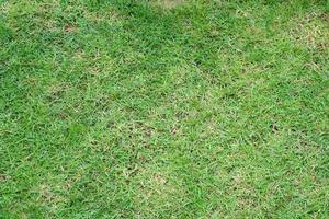 fondo de hierba verde en el campo de fútbol foto