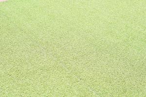 Green artificial grass background is used instead of real grass. photo