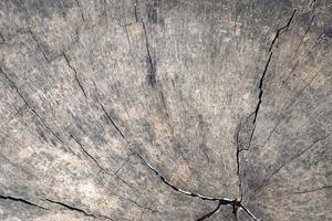 old wooden floor has a beautiful pattern. photo