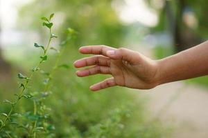 human hand touching grass. concept of saving the world photo