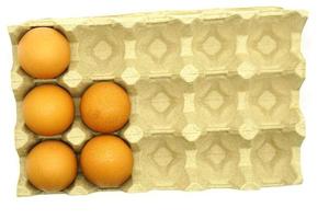 Eggs in a paper tray photo