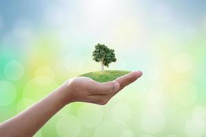 amamos el mundo de las ideas, el mundo y el árbol en la mano humana sobre el fondo de la naturaleza. foto