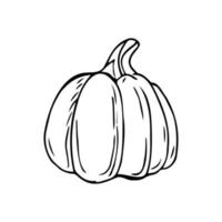 Large pumpkin thin black lines on a white background - Vector