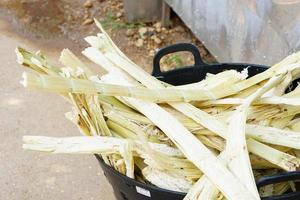 remains of sugar cane that have been squeezed out photo