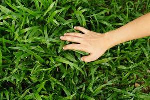 human hand touching grass. concept of saving the world photo