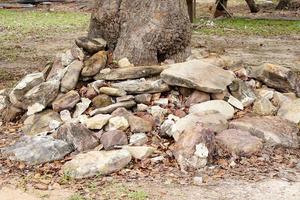 piedras apiladas alrededor de los árboles embarrados. foto