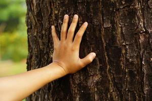 woman lovingly touches a tree with her hand photo